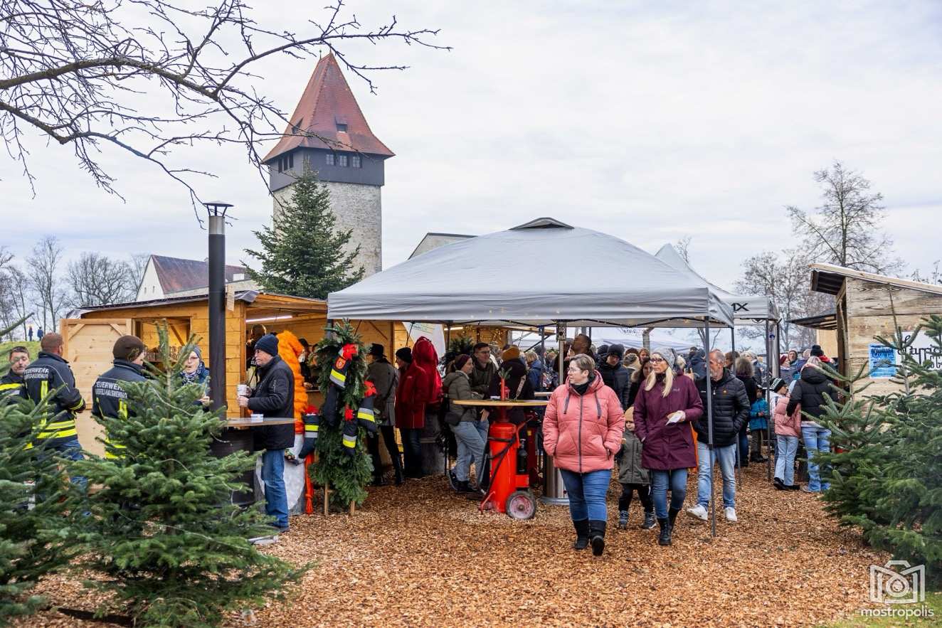 Ulmerfelder Schlossweihnacht 24 - 002.jpg